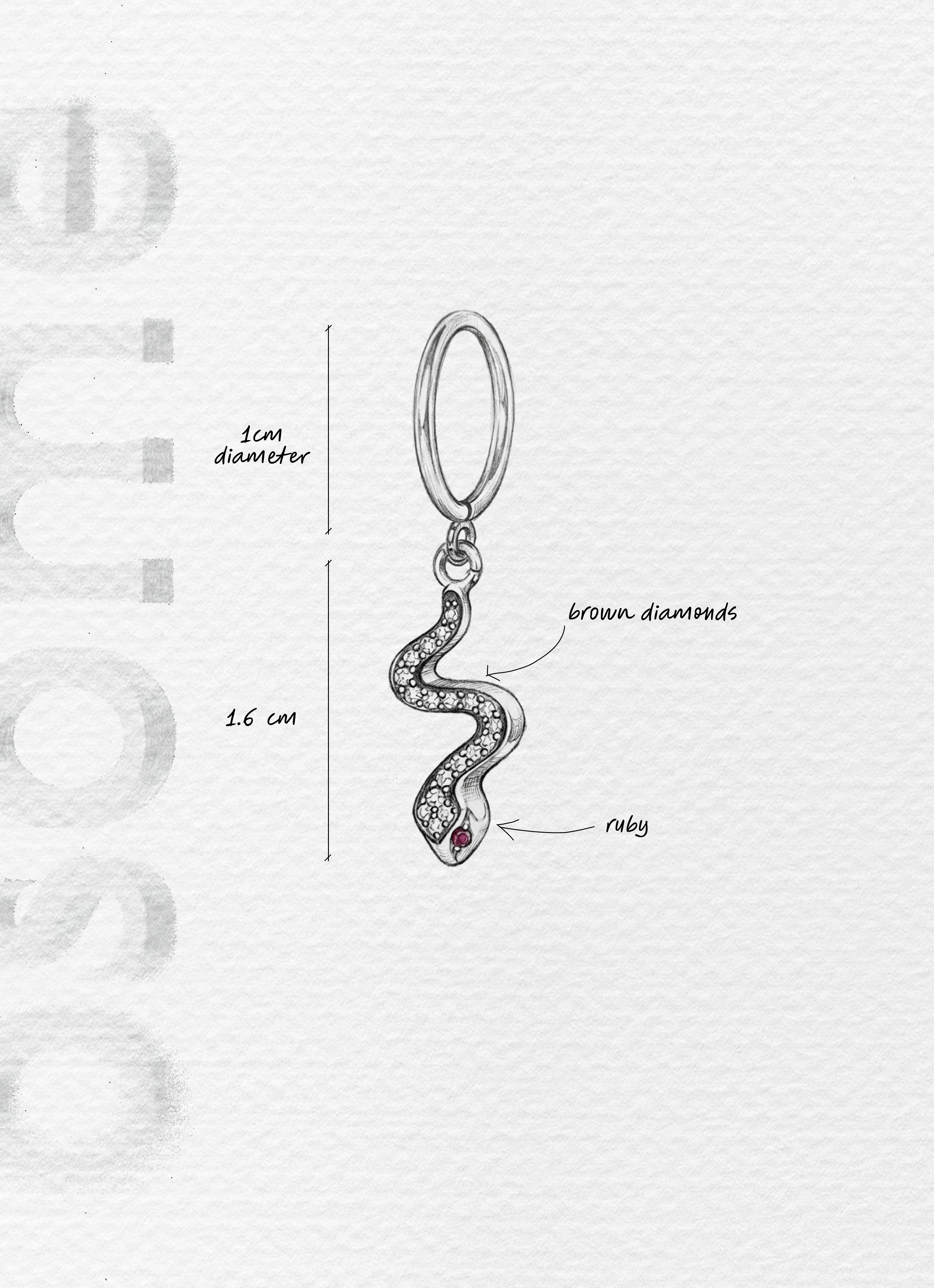 THE SNAKE WITH BROWN DIAMONDS AND RUBIES