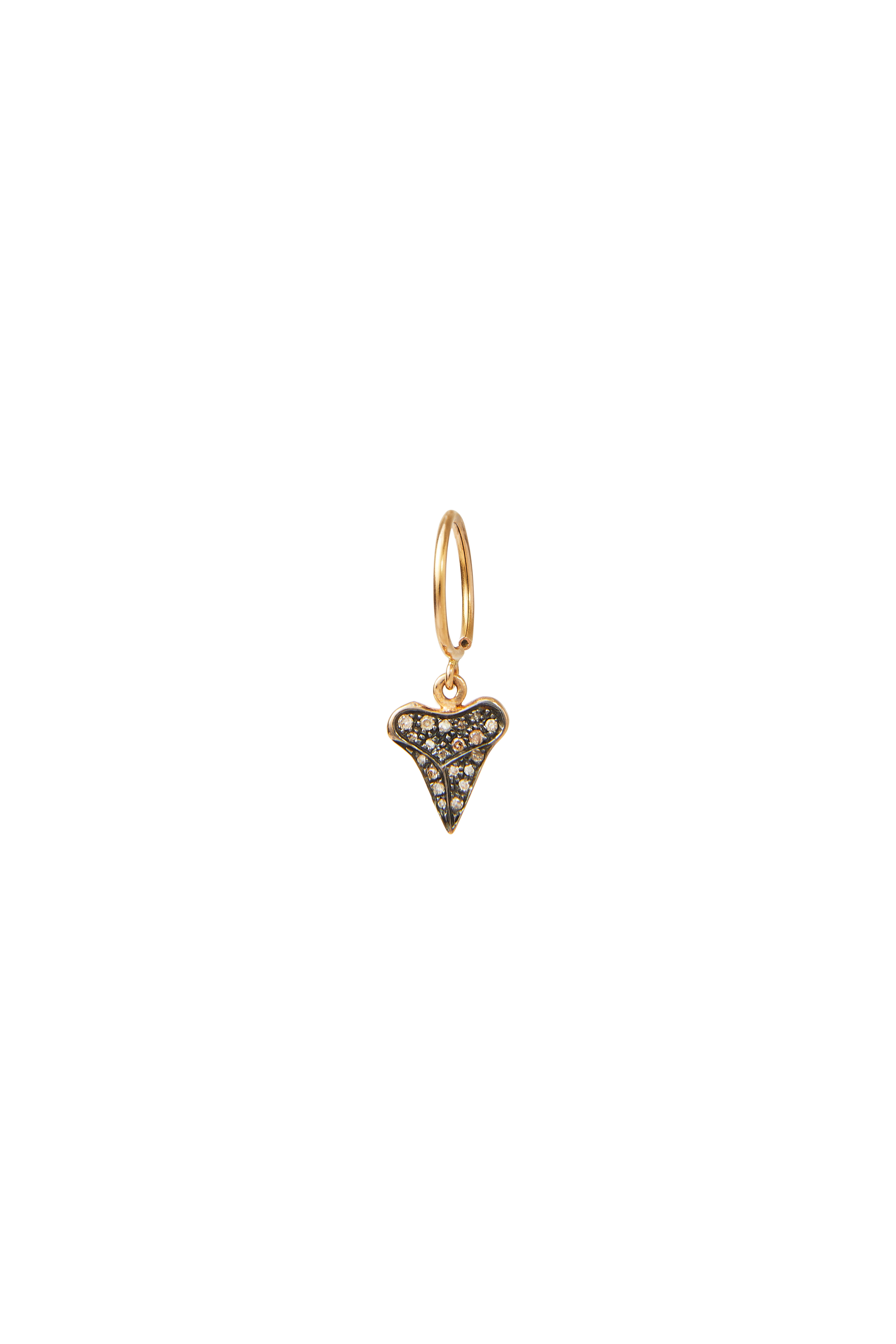 THE SHARK TOOTH WITH BROWN DIAMONDS